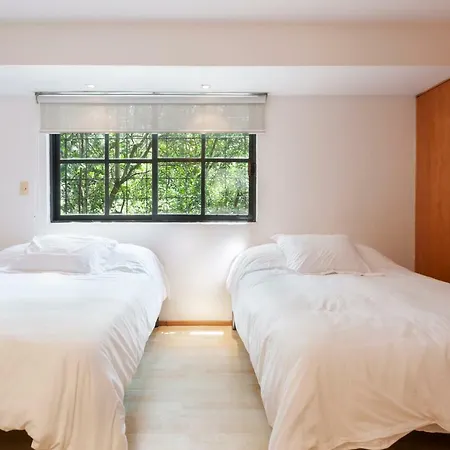 Lovely Apartment Ahuehuetes