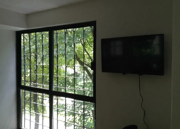 Lovely Ahuehuetes Apartment Mexico City